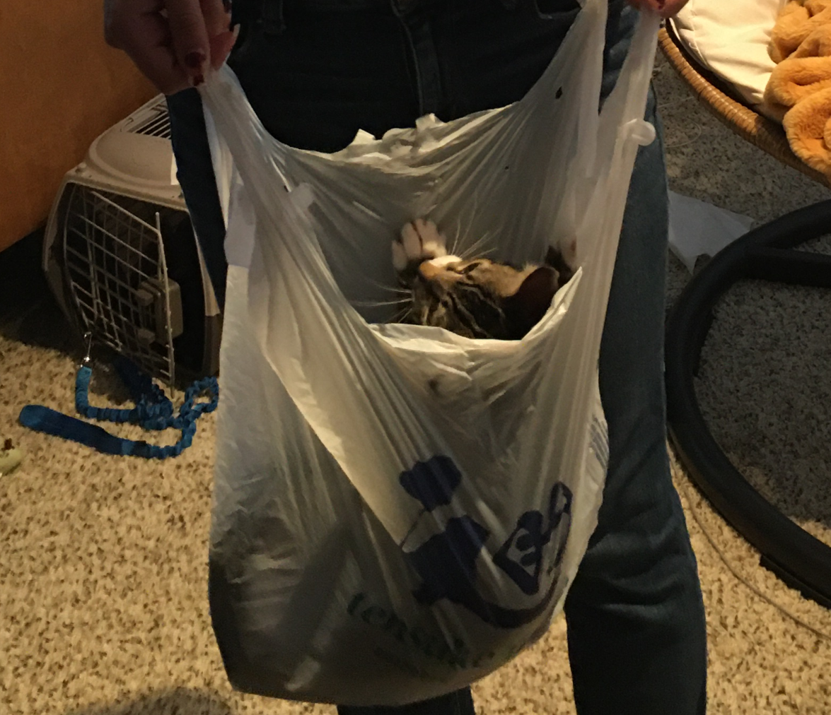 Crouton in a plastic bag